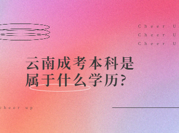 云南成考網(wǎng) 云南成考本科學歷