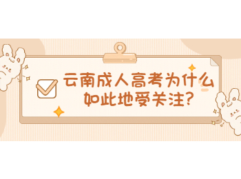 云南省成人高考網 云南成考受歡迎