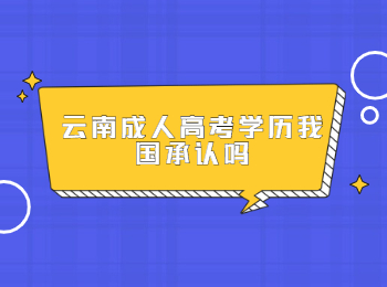 云南成人高考學歷