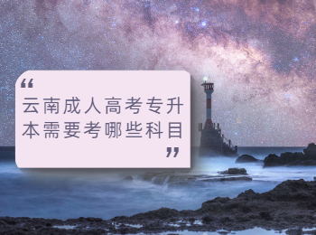 云南成人高考專(zhuān)升本 