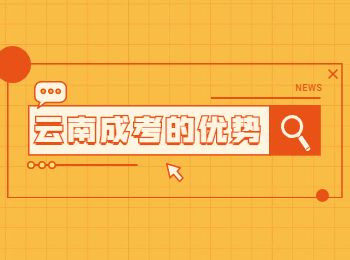 云南成人高考