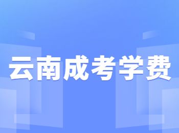 云南成人高考