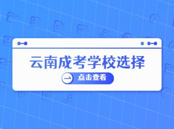 云南成人高考
