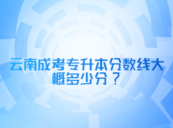 云南成考專升本分?jǐn)?shù)線