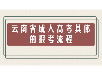 云南省成人高考報(bào)考流程